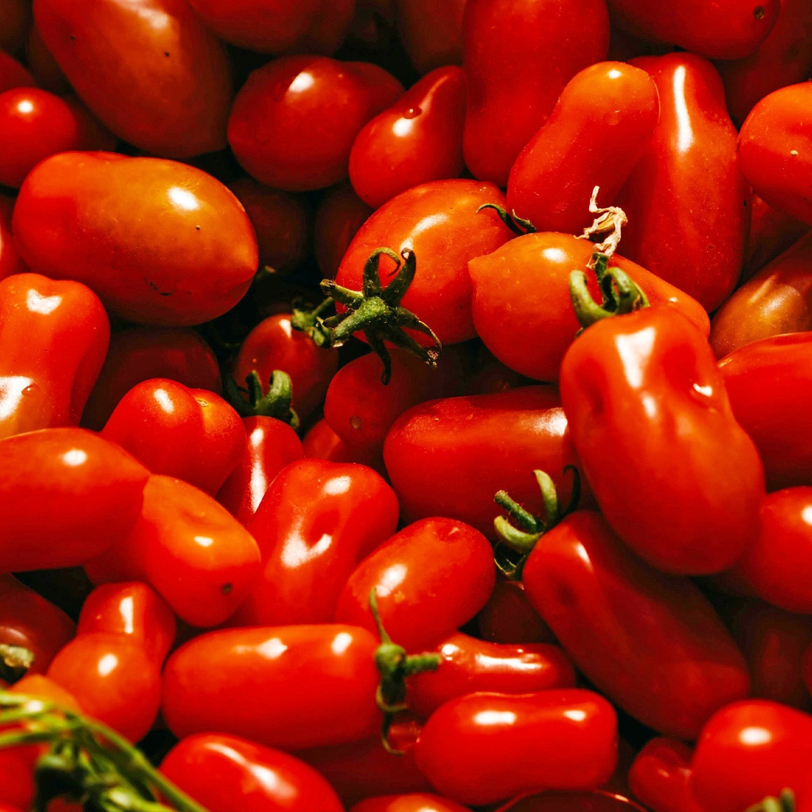 Fresh vs. Canned Tomatoes in Pasta Sauce: Why We Trust the Italian System