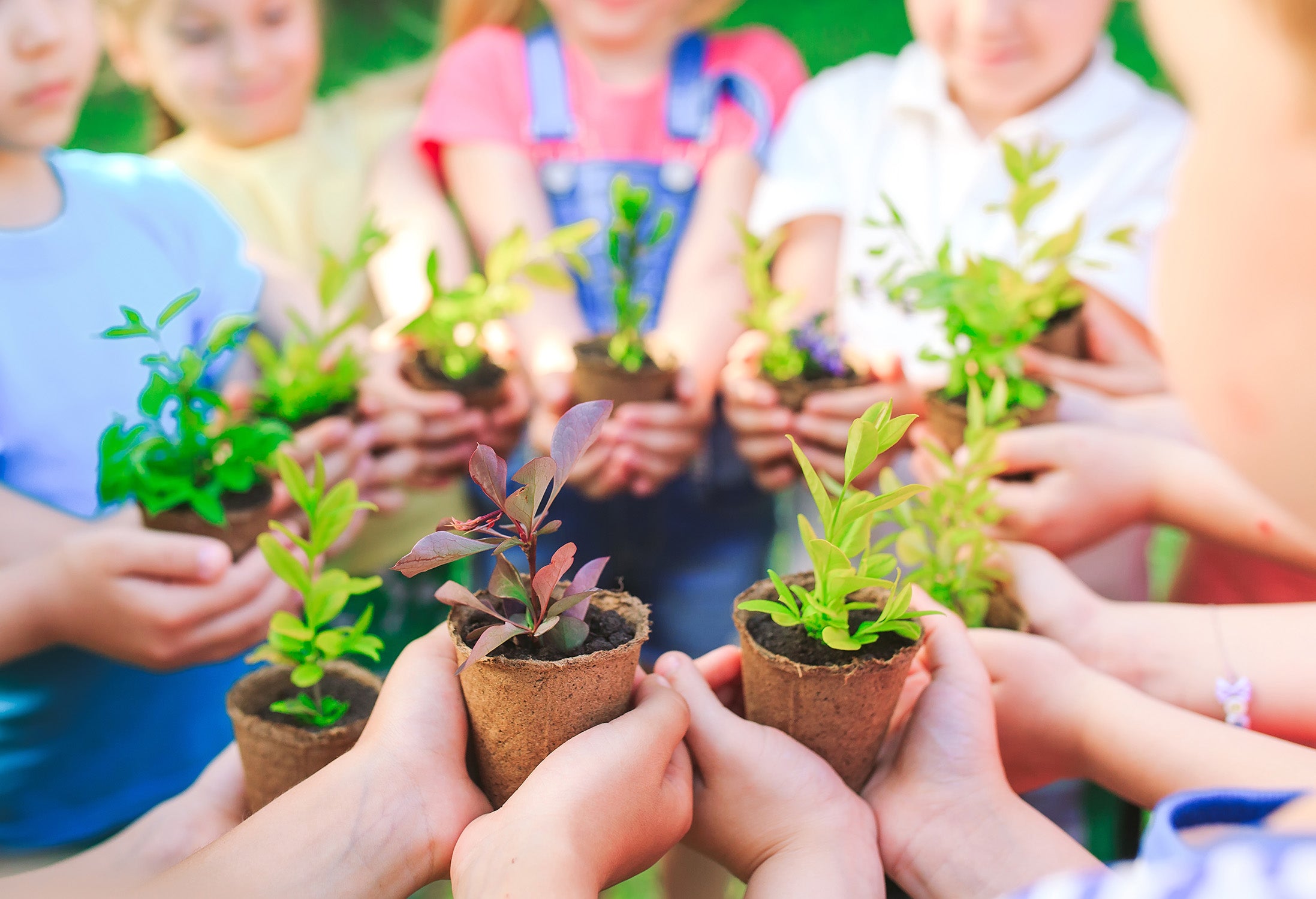 The Importance of Teaching Sustainability To Our Children